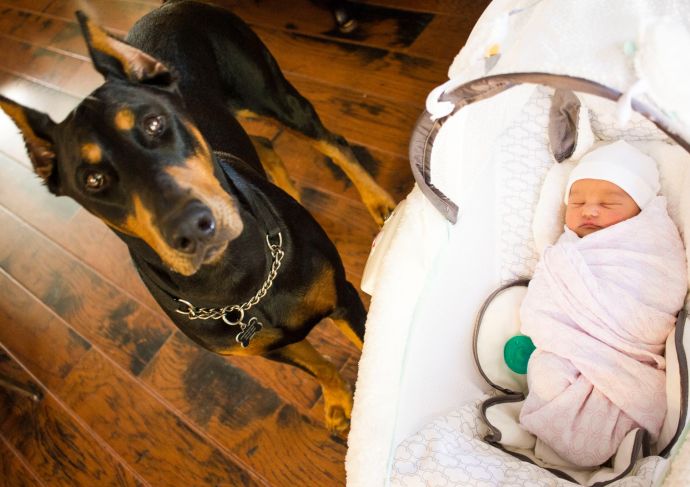 12068869 678738112262653 7906032465363206054 O