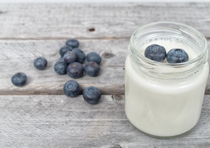 1 25 18  Probiotics Yogurt