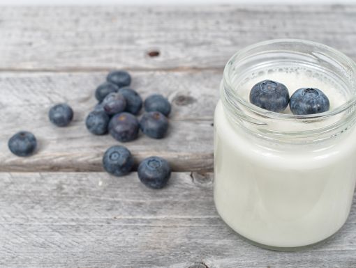 1 25 18  Probiotics Yogurt