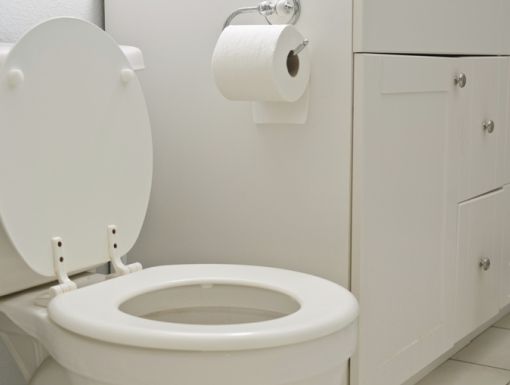 187452675 Toliet Seat