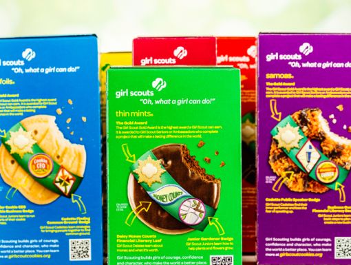 Istock 000023452081 Small Girl Scout Cookies