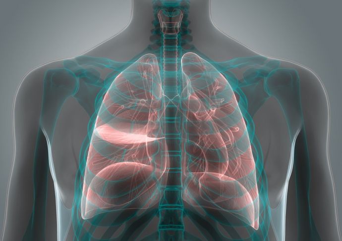 chest X-ray of lungs