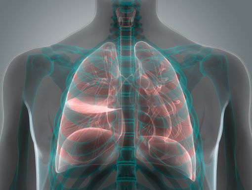 chest X-ray of lungs