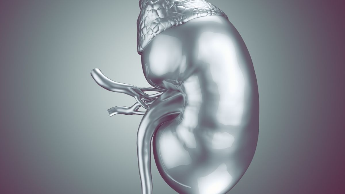 Gettyimages 687429216 Kidney