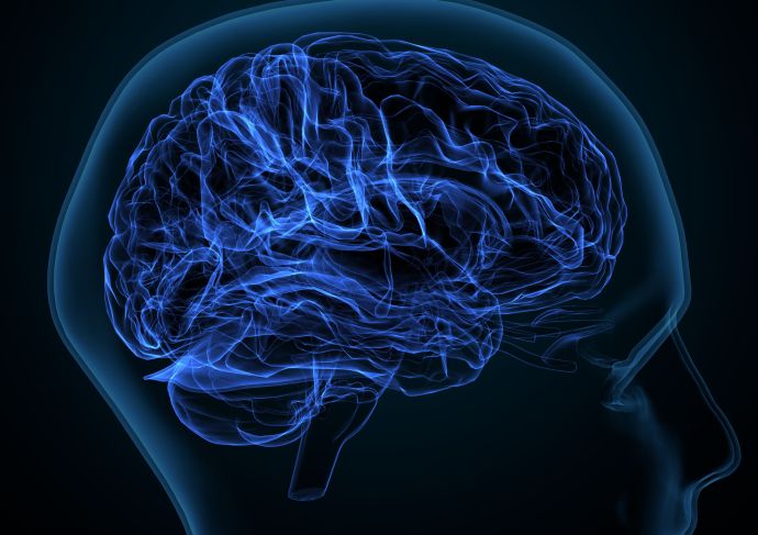 Imaging of brain for Gamma knife surgery