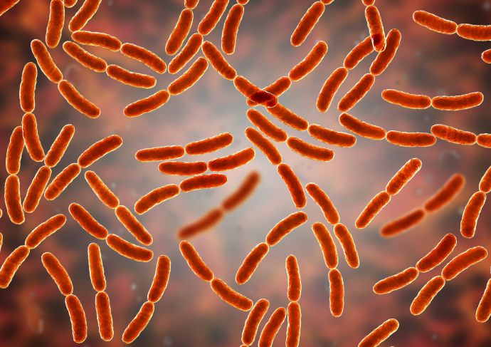 Getty Images bacteria