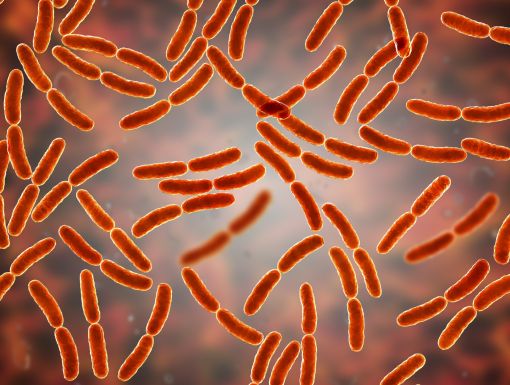 Getty Images bacteria
