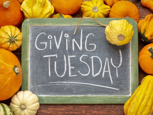 How to Celebrate Giving Tuesday