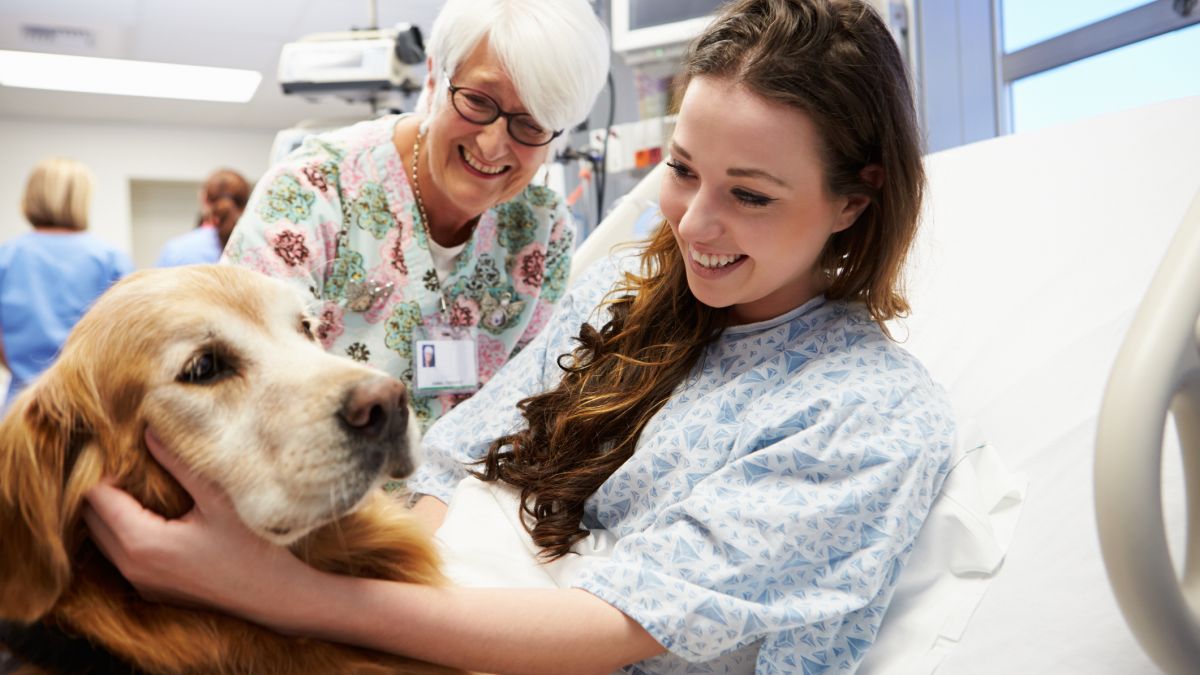 Health benefits volunteering pet therapy