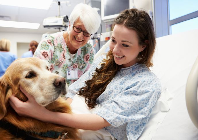 Health benefits volunteering pet therapy
