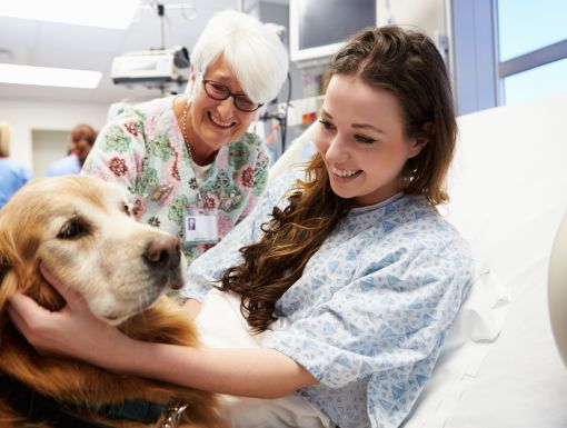 Health benefits volunteering pet therapy