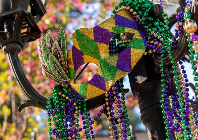 Mardi Gras Mask and Beads