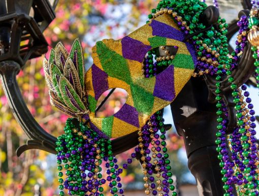 Mardi Gras Mask and Beads