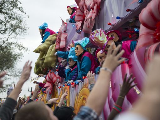 children and parents reaching for throws at a Mardi Gras parade