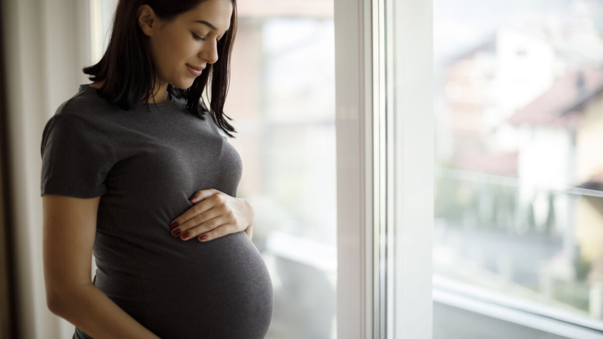 Pregnant Woman at Window