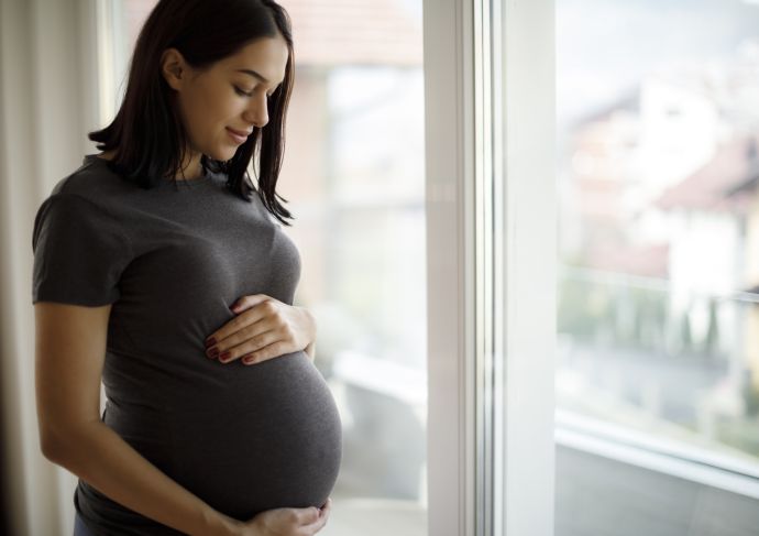 Pregnant Woman at Window