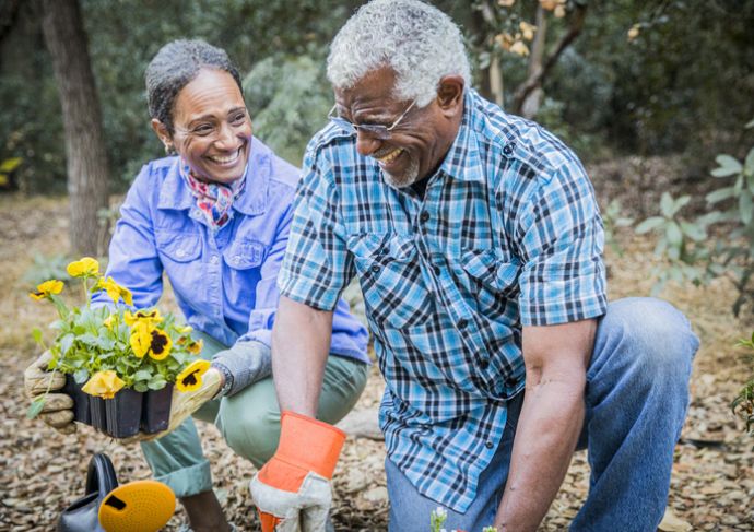 Couple gardening