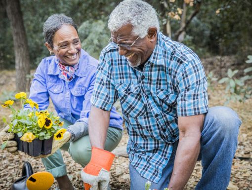 Couple gardening