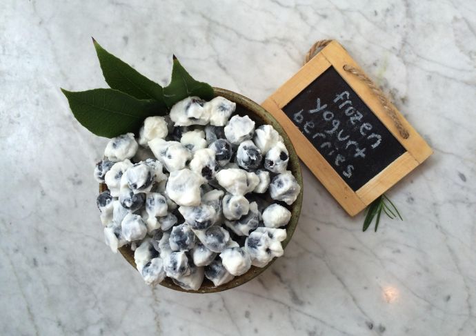 Frozen Yogurt Covered Blueberries