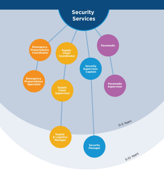 Security Guard Career Map