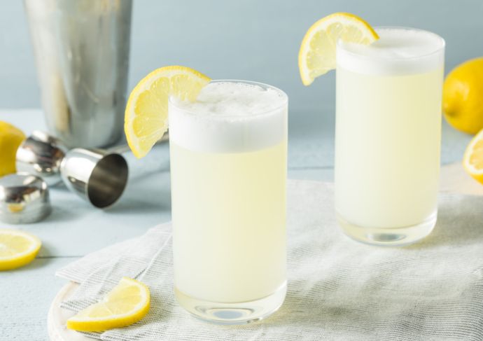 Gin Fizz Mocktail Recipe