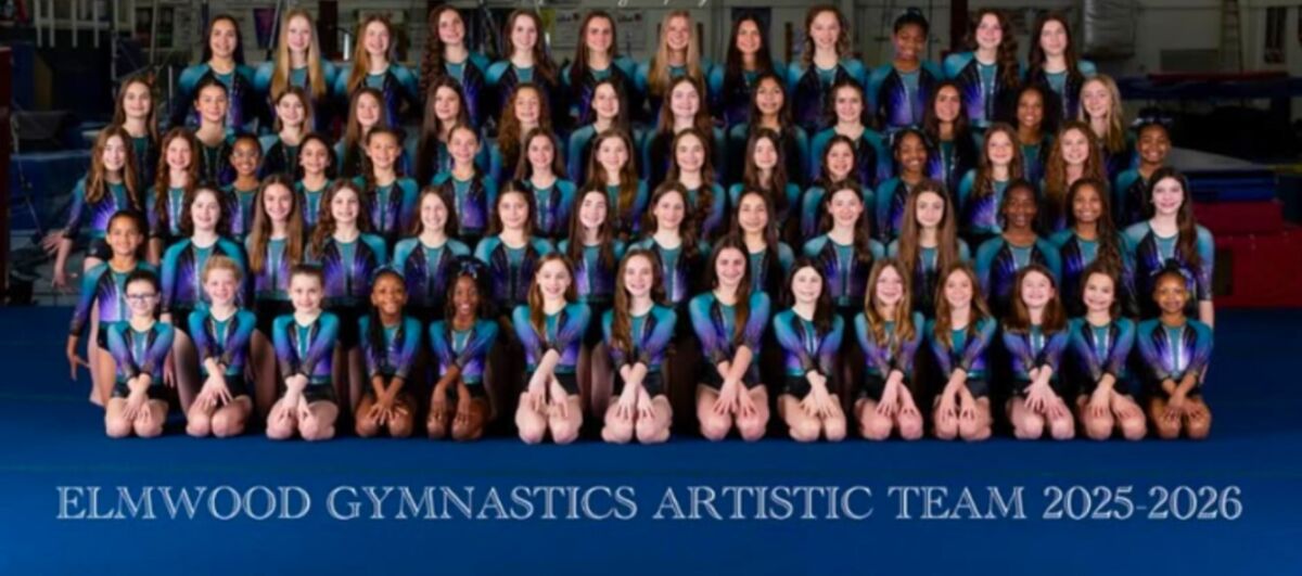 Elmwood gymnastics team