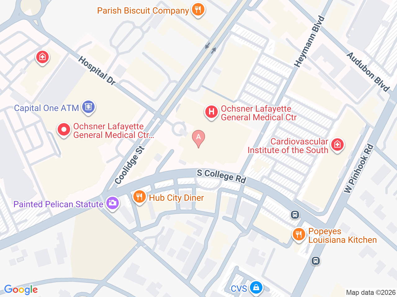 Map of Ochsner-affiliated facilities that provide services related to Hospice Care