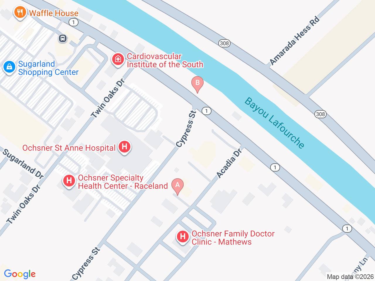 Map of Ochsner-affiliated facilities that provide services related to Family Birthing Services: St. Anne