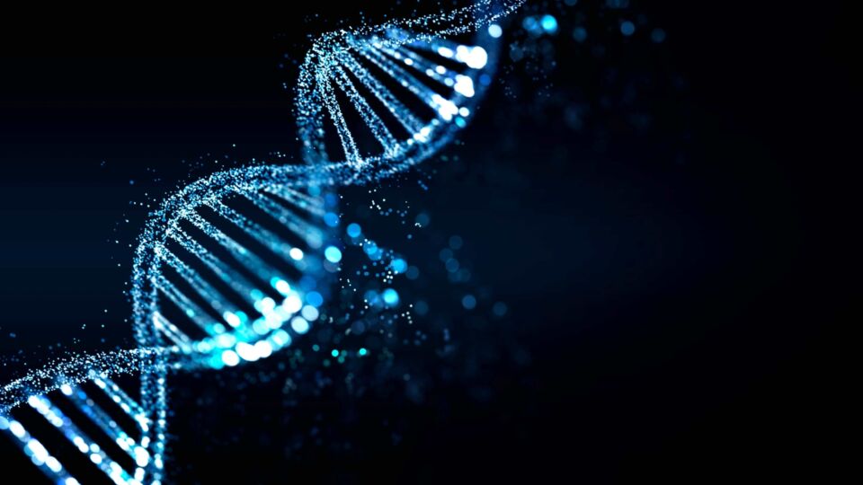 DNA helix